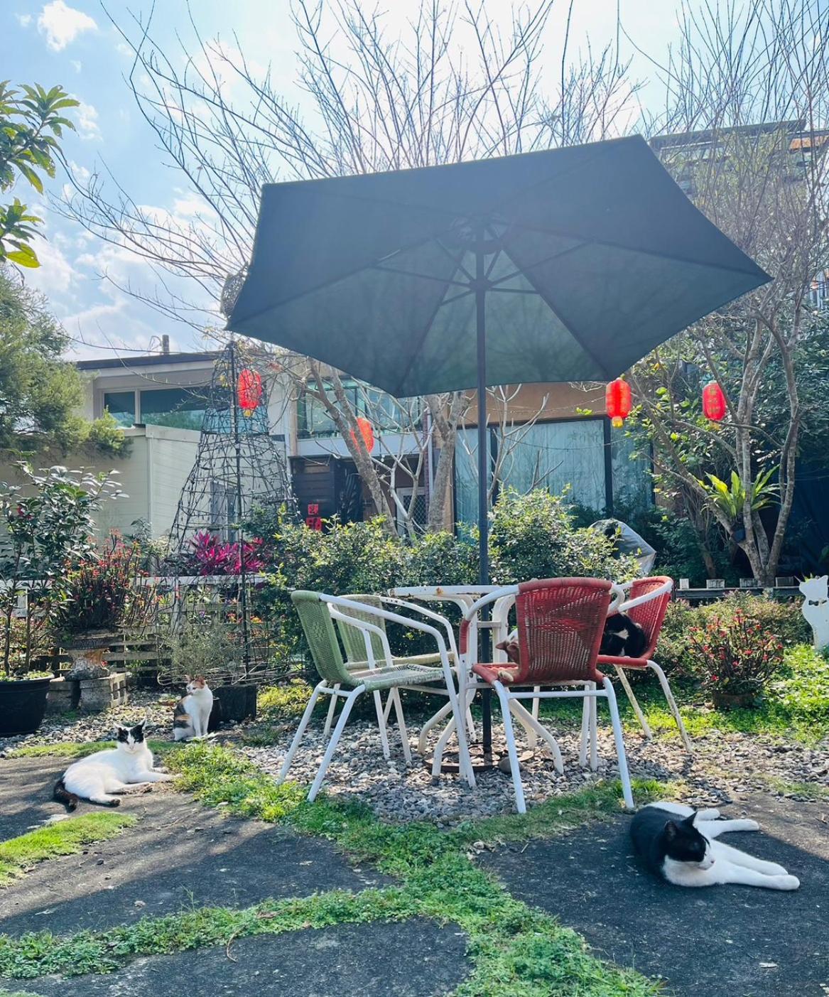 猫天空宠物乡村民宿 三星乡 外观 照片